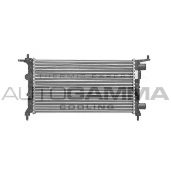 Radiateur, refroidissement du moteur AUTOGAMMA 101336