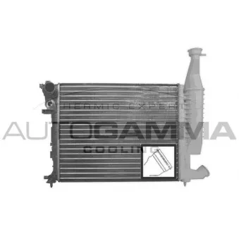 Radiateur, refroidissement du moteur AUTOGAMMA 101346