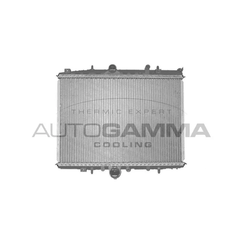 Radiateur, refroidissement du moteur AUTOGAMMA 101348