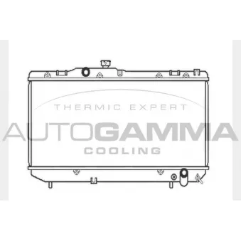 Radiateur, refroidissement du moteur AUTOGAMMA