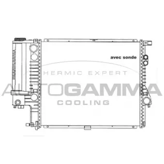 Radiateur, refroidissement du moteur AUTOGAMMA 101361
