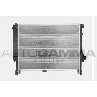 Radiateur, refroidissement du moteur AUTOGAMMA 101366