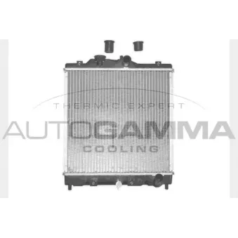 Radiateur, refroidissement du moteur AUTOGAMMA 101372