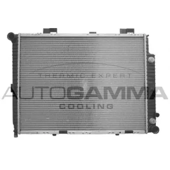 Radiateur, refroidissement du moteur AUTOGAMMA 101378