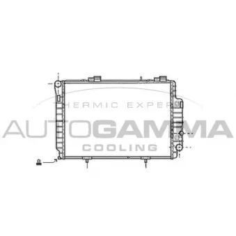 Radiateur, refroidissement du moteur AUTOGAMMA 101379