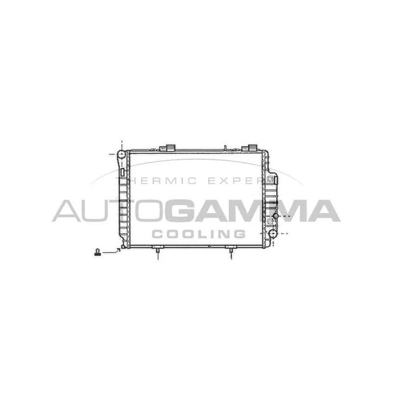 Radiateur, refroidissement du moteur AUTOGAMMA 101379