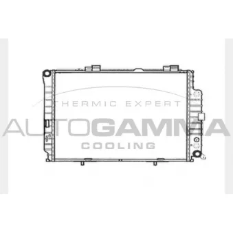 Radiateur, refroidissement du moteur AUTOGAMMA 101382