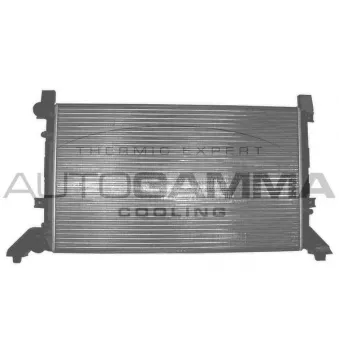 Radiateur, refroidissement du moteur AUTOGAMMA 101393