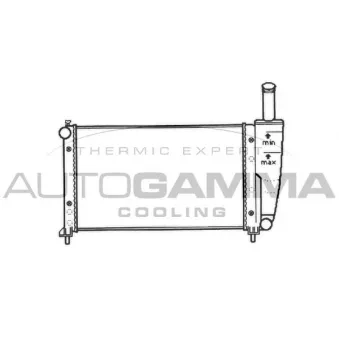 Radiateur, refroidissement du moteur AUTOGAMMA 101398