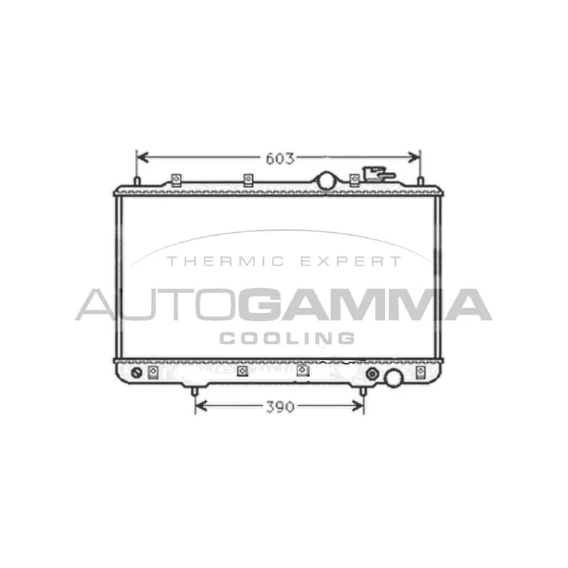 Radiateur, refroidissement du moteur AUTOGAMMA 101441