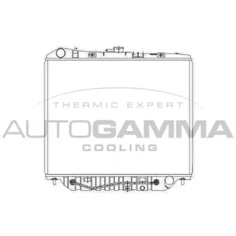 Radiateur, refroidissement du moteur AUTOGAMMA 101448