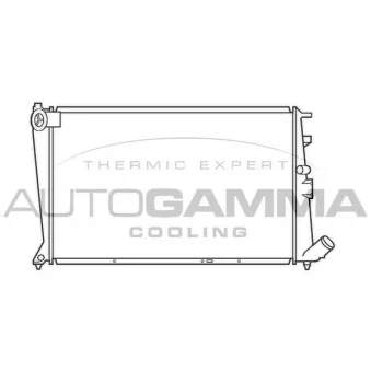 Radiateur, refroidissement du moteur AUTOGAMMA 101467