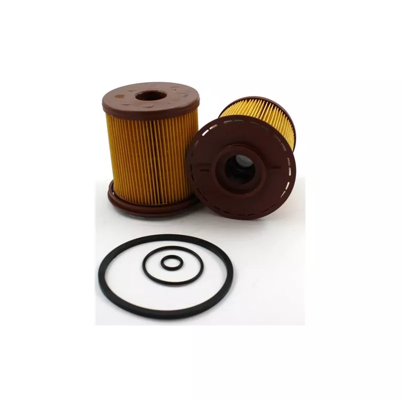 Filtre à carburant FLEETGUARD FF5725