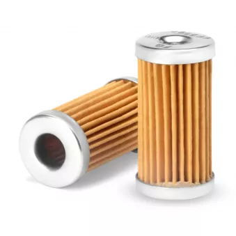 Filtre à carburant FLEETGUARD FF5599