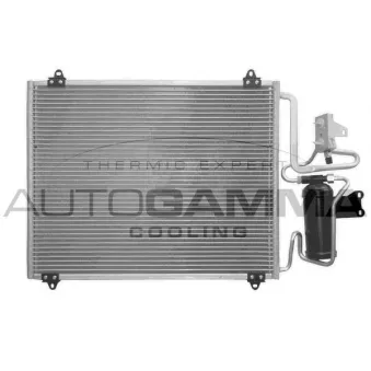 Condenseur, climatisation AUTOGAMMA 101813
