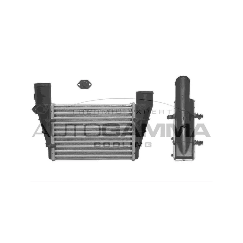 Intercooler, échangeur AUTOGAMMA 101858