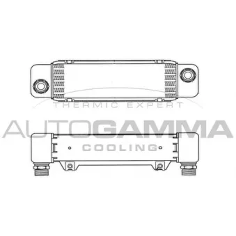 Radiateur d'huile AUTOGAMMA 101866