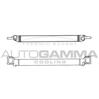 Radiateur d'huile AUTOGAMMA