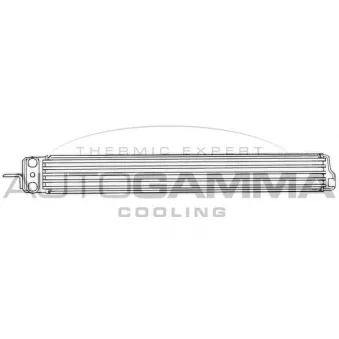 Radiateur d'huile AUTOGAMMA 101872