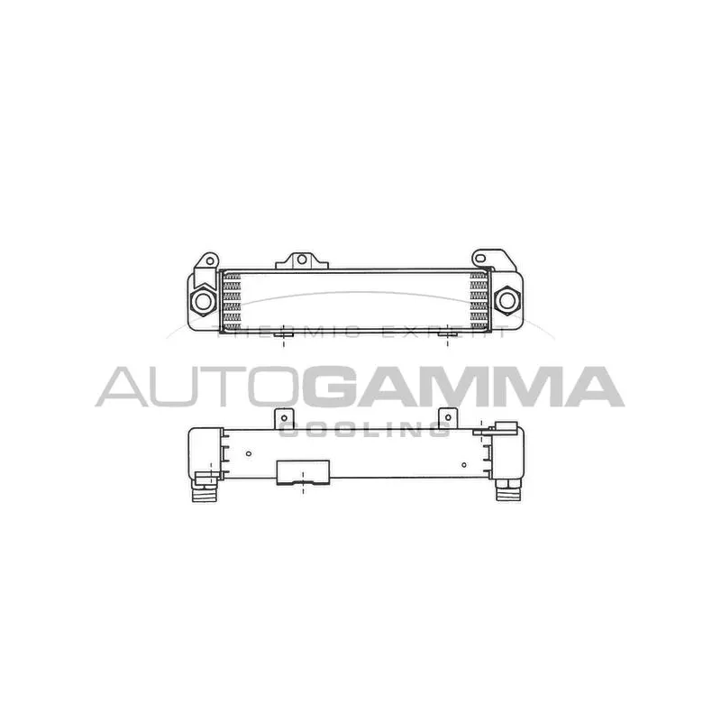 Radiateur d'huile AUTOGAMMA 101893