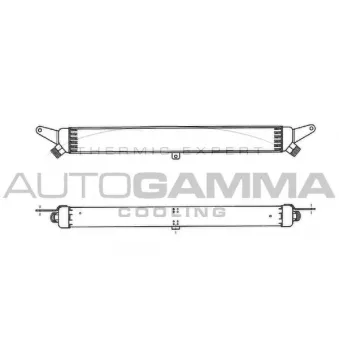 Radiateur d'huile AUTOGAMMA