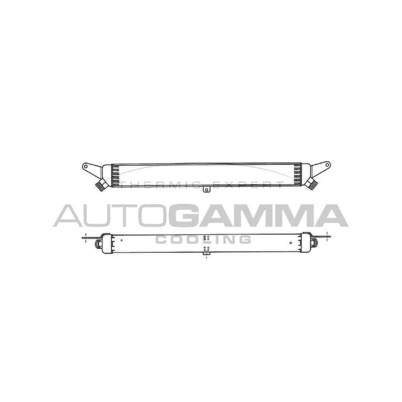 Radiateur d'huile AUTOGAMMA 101895