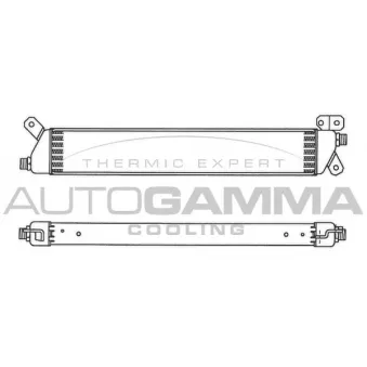 Radiateur d'huile AUTOGAMMA 101919