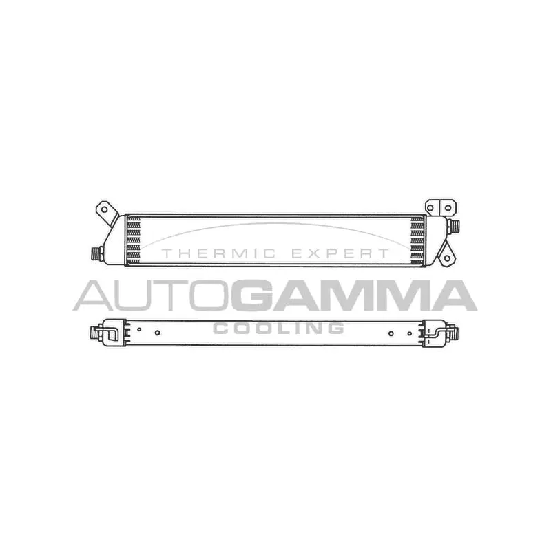 Radiateur d'huile AUTOGAMMA 101919