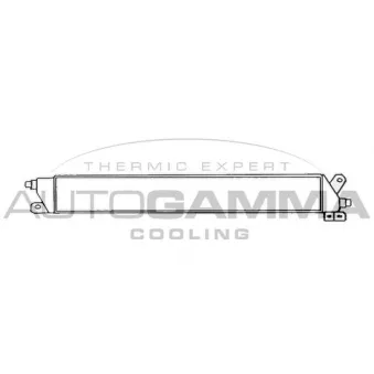 Radiateur d'huile AUTOGAMMA 101936