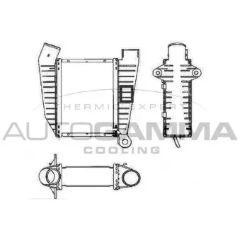 Intercooler, échangeur AUTOGAMMA 101937