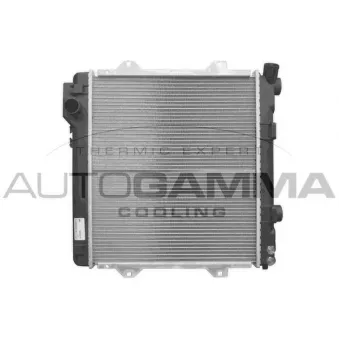 Radiateur, refroidissement du moteur AUTOGAMMA 101981