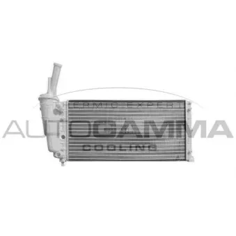 Radiateur, refroidissement du moteur AUTOGAMMA 101990
