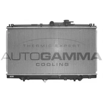 Radiateur, refroidissement du moteur AUTOGAMMA 101995