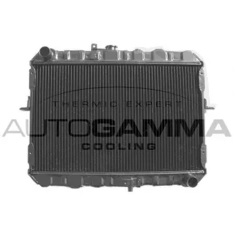Radiateur, refroidissement du moteur AUTOGAMMA