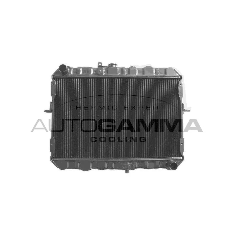 Radiateur, refroidissement du moteur AUTOGAMMA 101999