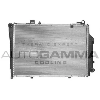 Radiateur, refroidissement du moteur AUTOGAMMA 102001