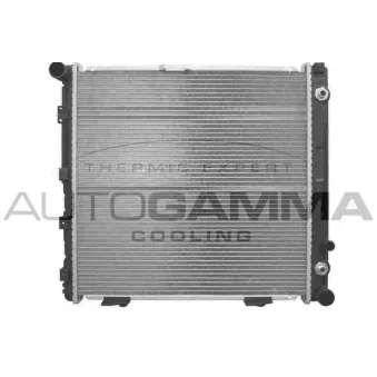 Radiateur, refroidissement du moteur AUTOGAMMA 102002