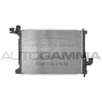 Radiateur, refroidissement du moteur AUTOGAMMA 102007