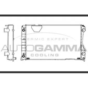 Radiateur, refroidissement du moteur AUTOGAMMA 102025