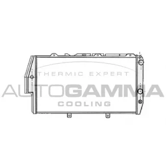 Radiateur, refroidissement du moteur AUTOGAMMA 102026