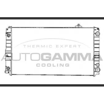 Radiateur, refroidissement du moteur AUTOGAMMA 102027