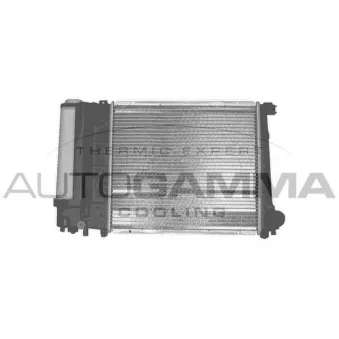 Radiateur, refroidissement du moteur AUTOGAMMA 102031