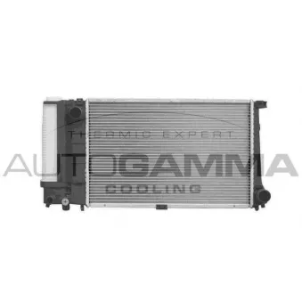 Radiateur, refroidissement du moteur AUTOGAMMA 102041