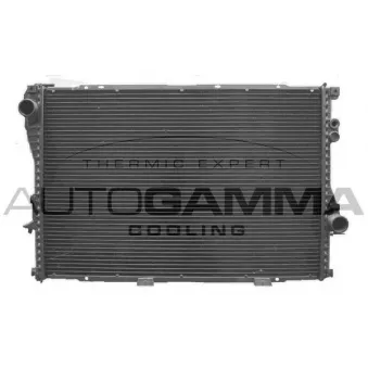 Radiateur, refroidissement du moteur AUTOGAMMA 102042