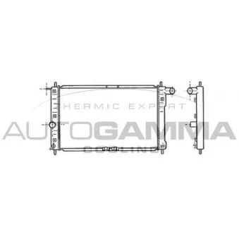 Radiateur, refroidissement du moteur AUTOGAMMA 102049