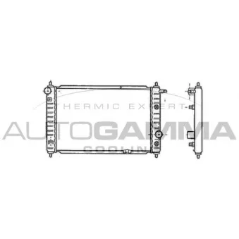 Radiateur, refroidissement du moteur AUTOGAMMA 102052