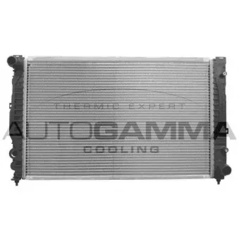 Radiateur, refroidissement du moteur AUTOGAMMA 102055