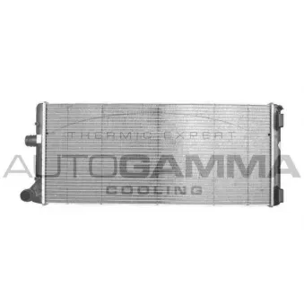 Radiateur, refroidissement du moteur AUTOGAMMA 102062