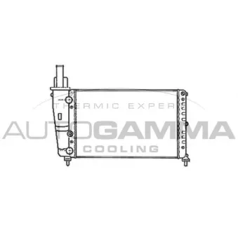 Radiateur, refroidissement du moteur AUTOGAMMA 102066