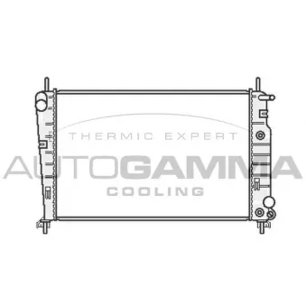 Radiateur, refroidissement du moteur AUTOGAMMA
